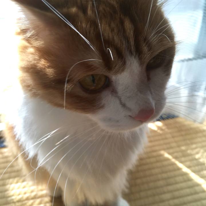 A1581eea 0e4f 4186 b51e 6c7caa7602c9