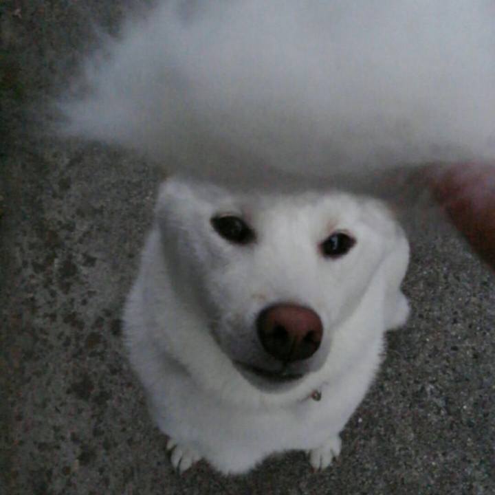 A158feaf da88 4d42 b536 0f04101dddc1