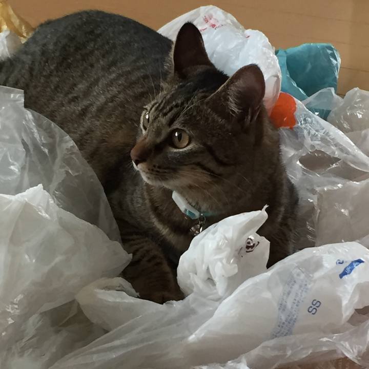 A159b206 fb58 46c1 9d55 7a74c1919003