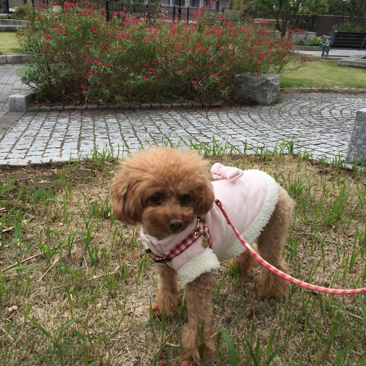 A15a2e55 0140 4116 8664 01e5f1b96ccf