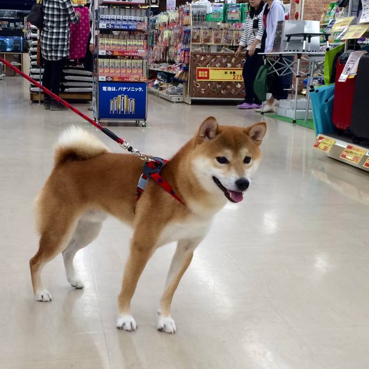 A15a7a53 7709 4199 ba4f 0516ba61cd54