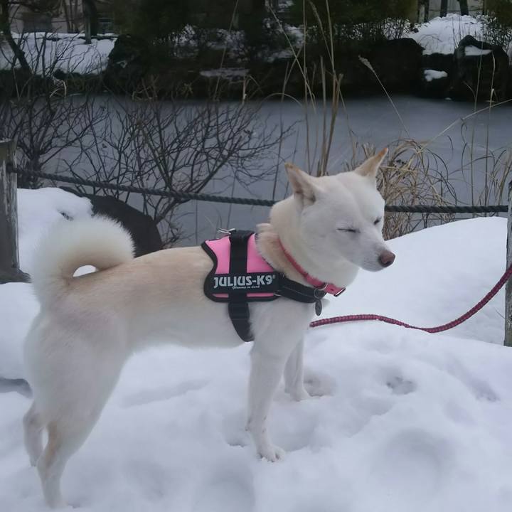 A15a8c75 347d 4aef 91ab 12f2b252a77d