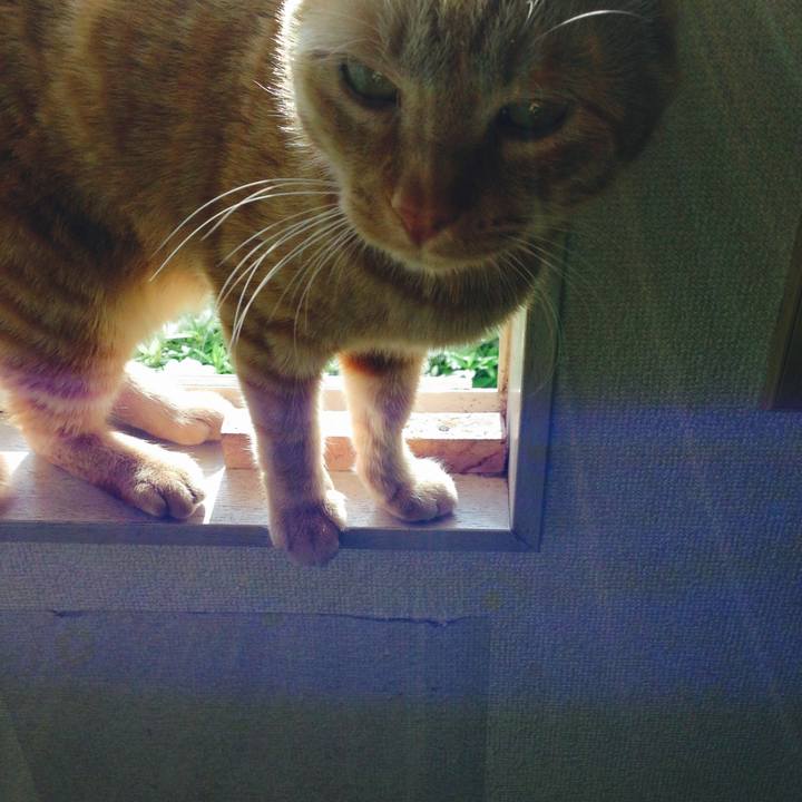 A15b5d3b 24bd 493e 9027 0b8b0cc83870