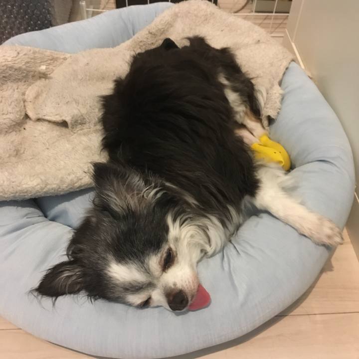 A15cd262 a03f 4b69 8eb3 1bbe90d57d59