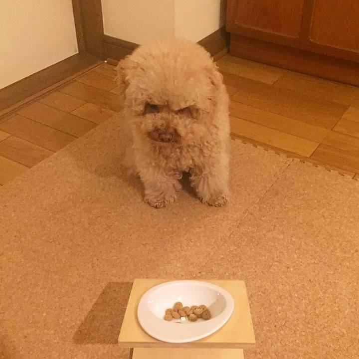 A15d1639 8630 486d b5d0 9fb0e9f87bba