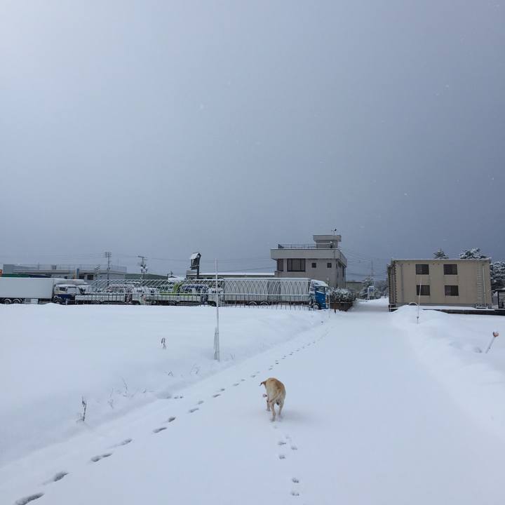 A15d21fd ce3e 47d2 9270 e0415c5d19f4