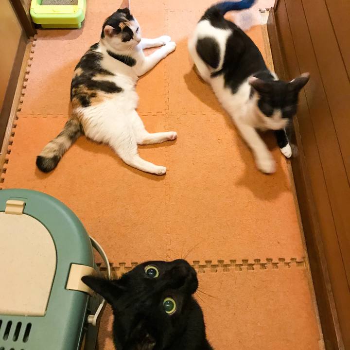 A15d34b8 2f26 4684 9d5a 0753615d81d3