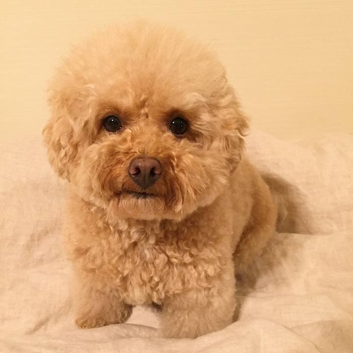 A15df82e 26e9 40ac 8151 59c2edf51f3f