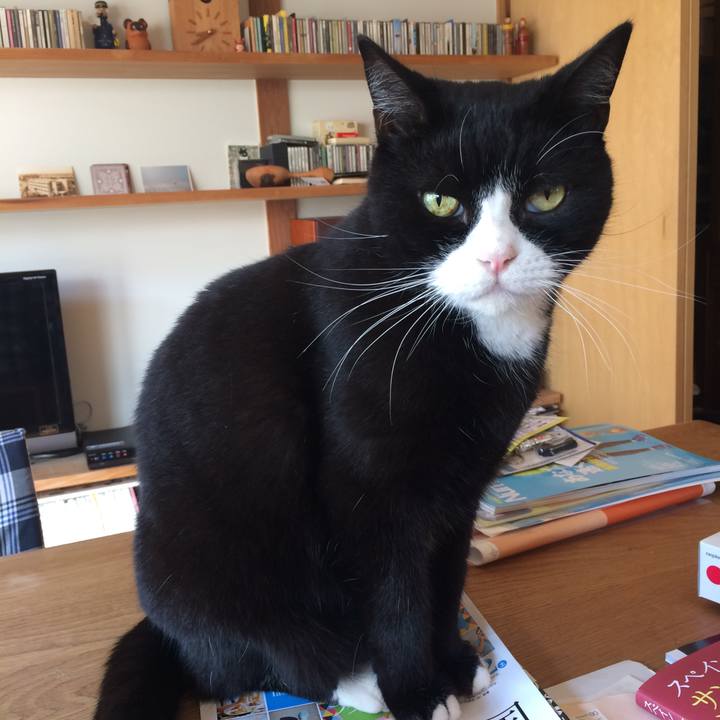 A15e04dd 3e3e 43cf 8b98 2d7f0dda6aff