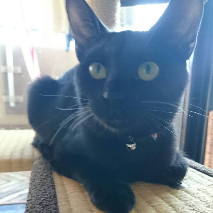 A15e39ef 2bec 428d a63b 75780087c362