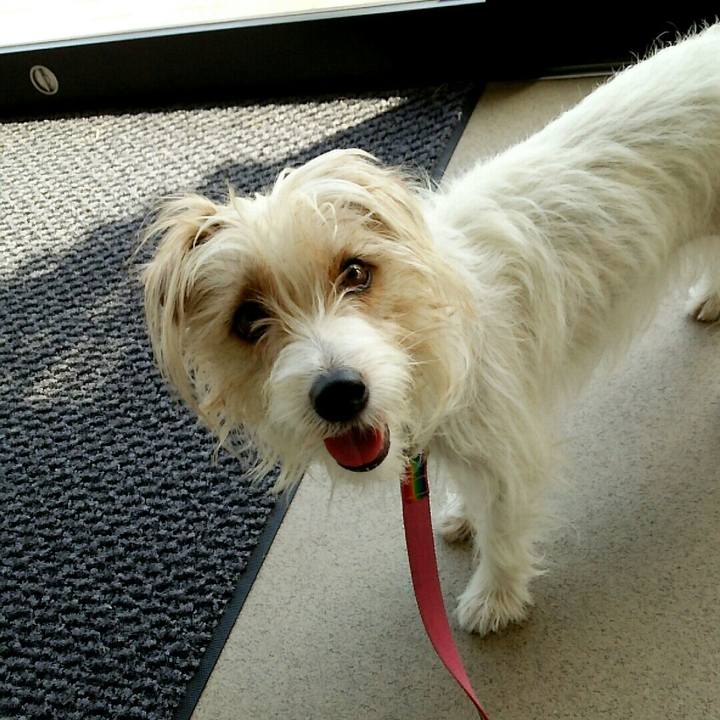 A15e5214 53a4 493c a652 9f43107c2ec7