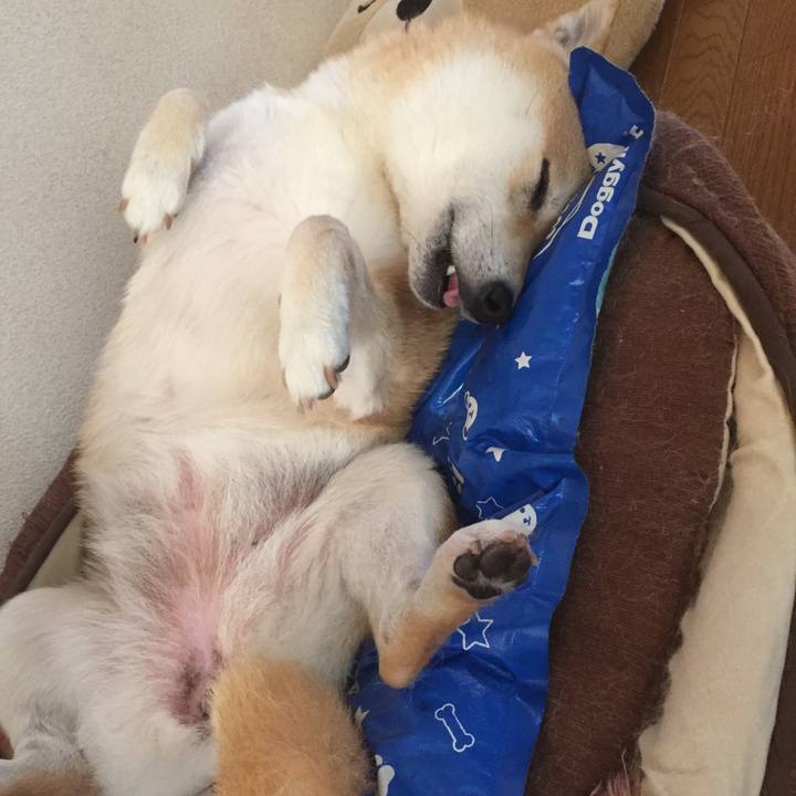 A15e9c5b 05ba 426f 90b9 9d1fb92d7da9