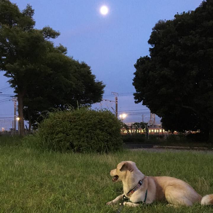 A15eb4b7 3065 46fe 875e ae24b811681d