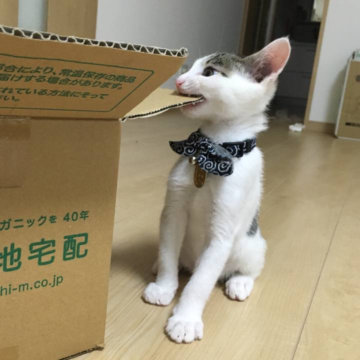 A15ec368 324f 4715 899f 8250bbbe9ef2