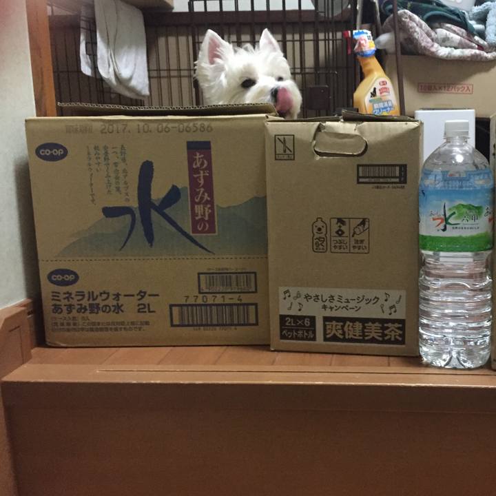 A15ff18f 9610 48c9 915a 7736784cf221