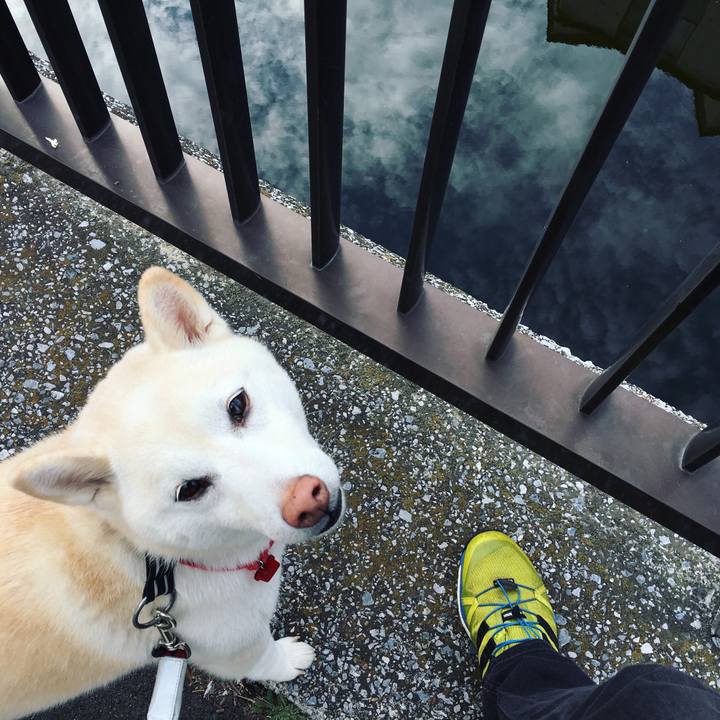 A1600e34 fd60 402c abd0 5b06ba842268