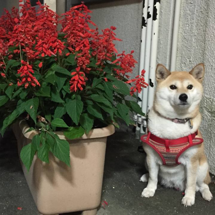 A160318b 11fe 4c21 bd34 c8e6146d0301