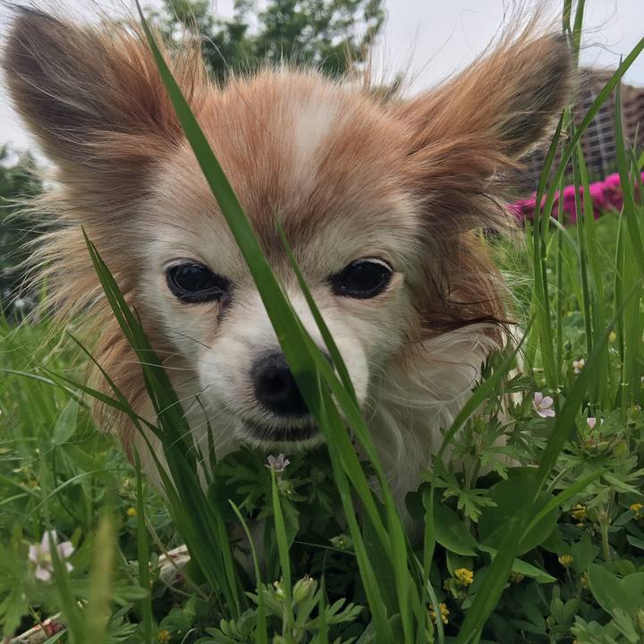 A1605d96 9d36 426f b17f 7d2922b51155