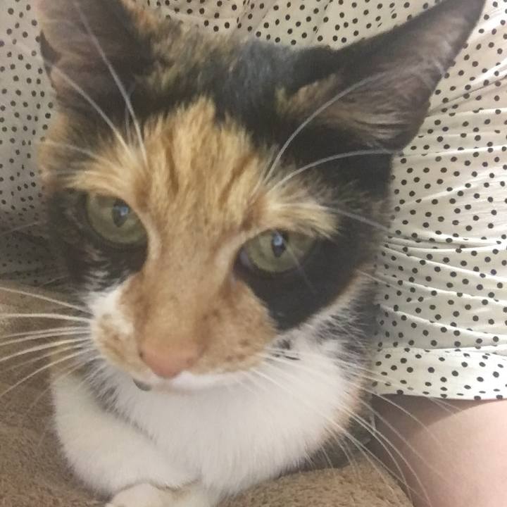 A160cb75 1801 4f2c 8882 82419cb3e592