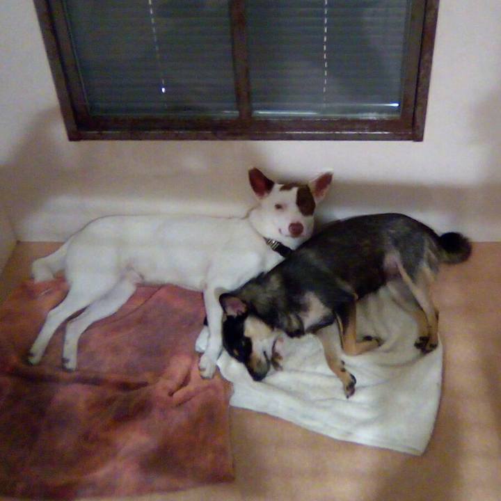 A1617d2d 75d8 48ad 8677 6b28766dcb3d