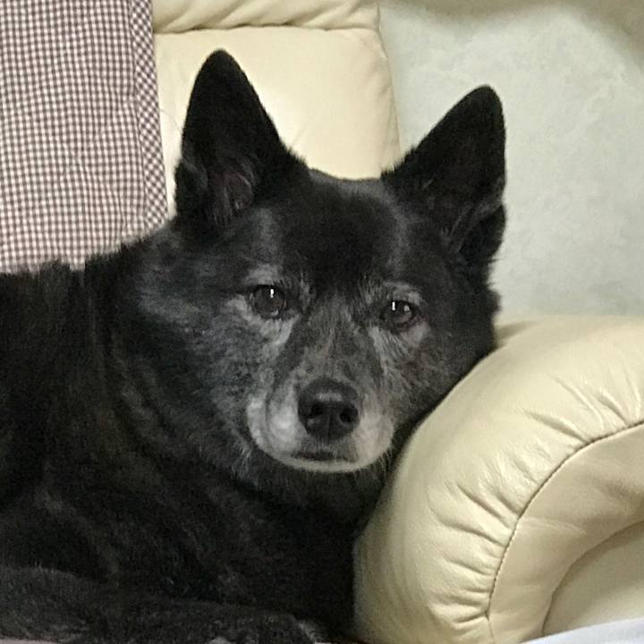 A161b855 6dce 4009 9977 8dffa1ff12a5