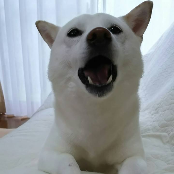 A16265bb 7558 455c adae ba0b3d0c2bf1