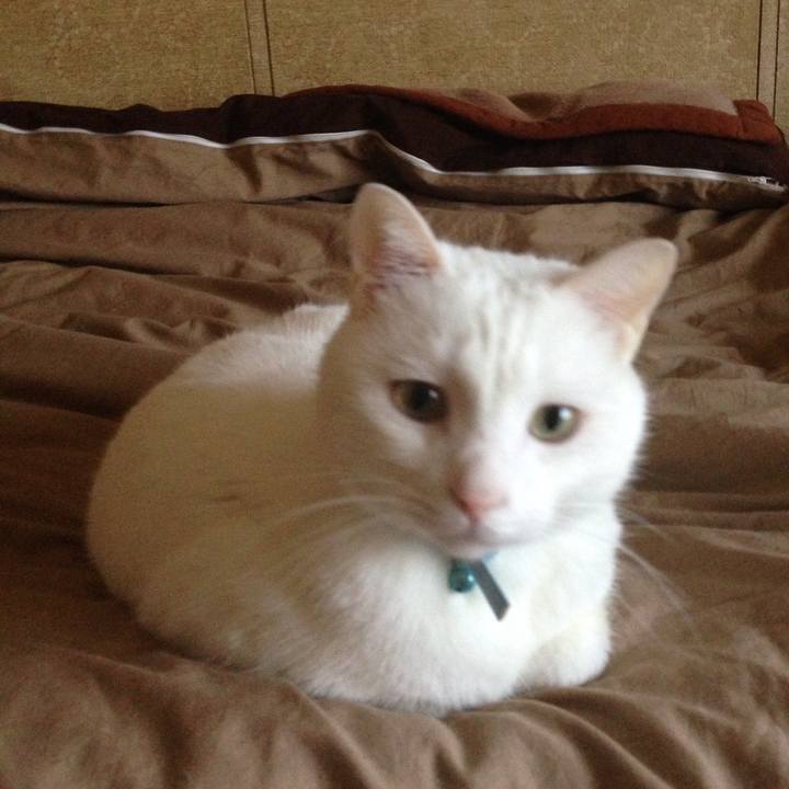 A1626b5a 537d 483a 9ea1 02ec2ad0c744