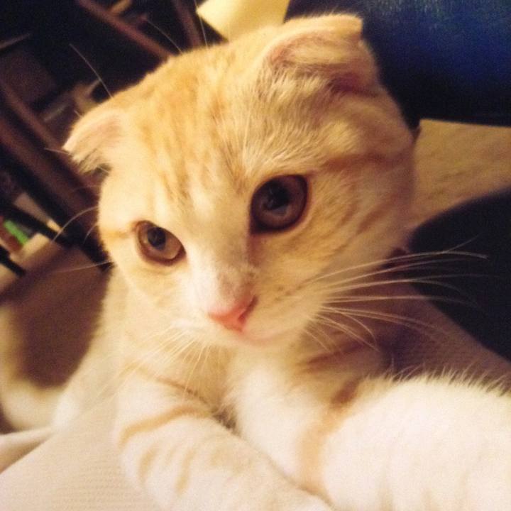 A1629c74 b422 4252 a1df e2ea91697e8e