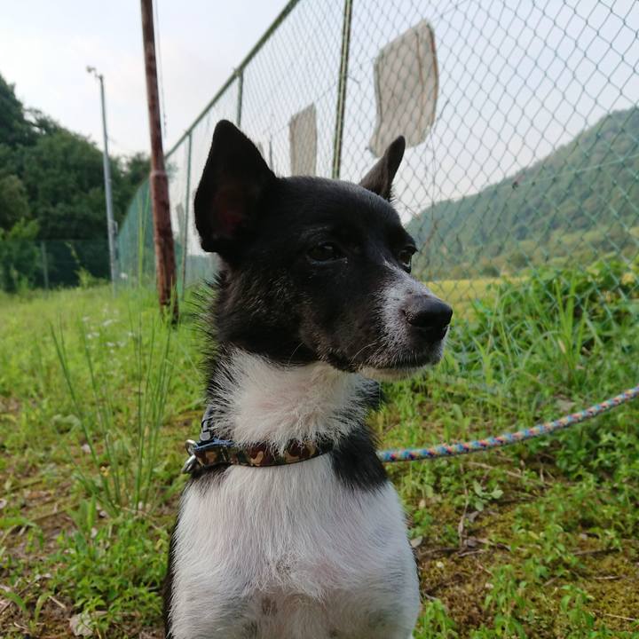 A162cd9a a81f 41d8 940d a752987219f0