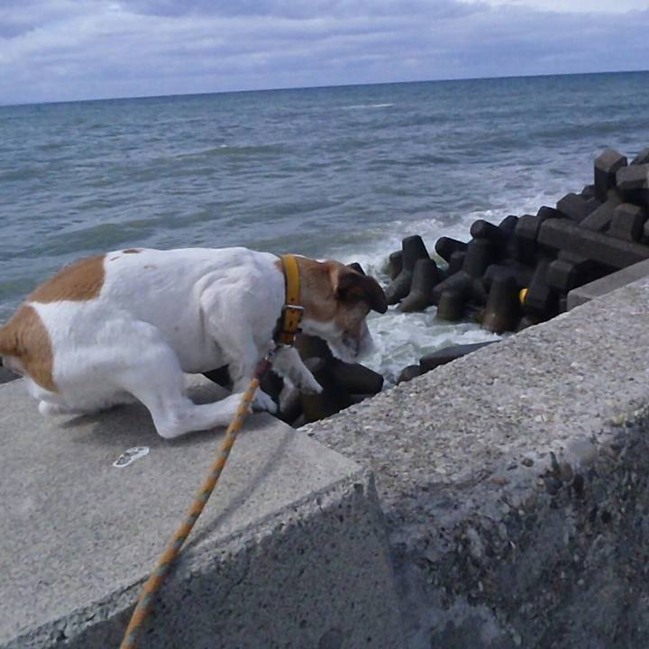 A1635517 d4f8 406b bcc6 899e672fdaf6