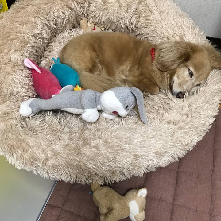 A1637bf1 be6f 4126 8ca9 a886ed5994c5