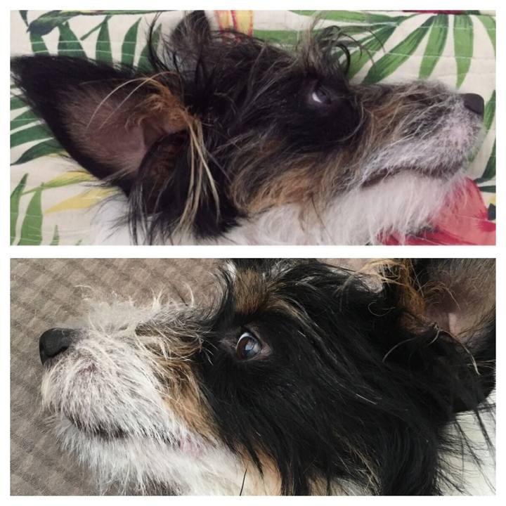 A1641466 32cd 4f9b bb3c 097a187007b4