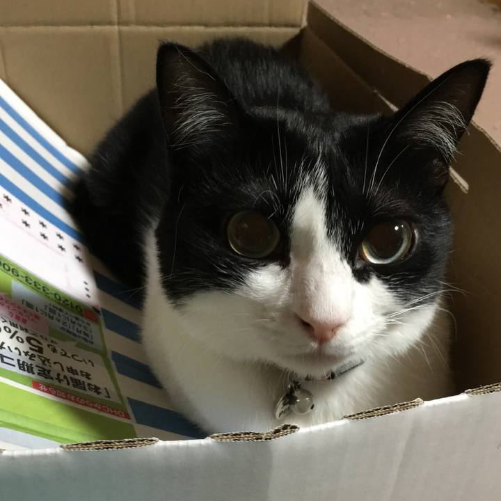 A16428be b3af 42bb 812a 2a0d173e378a