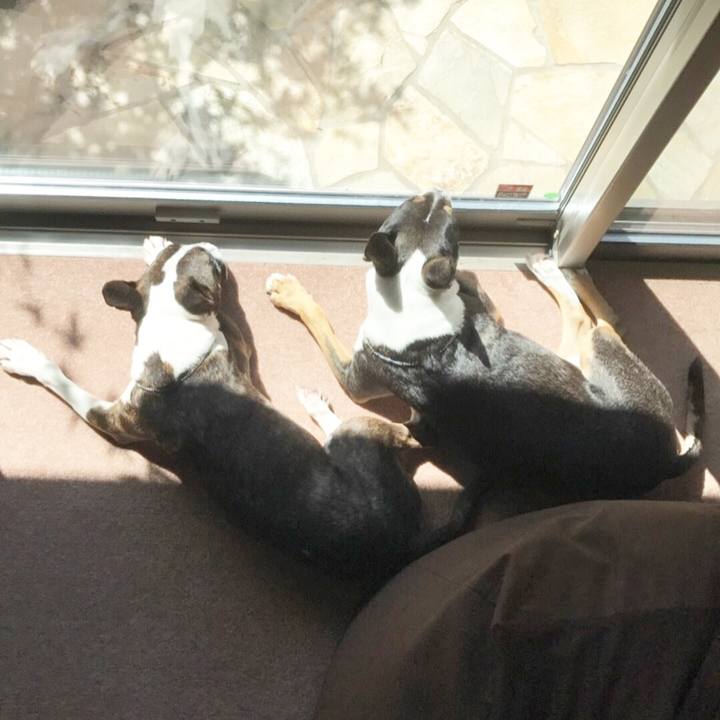 A164a2cd 7a49 4353 b1b0 3caeabbf1c40