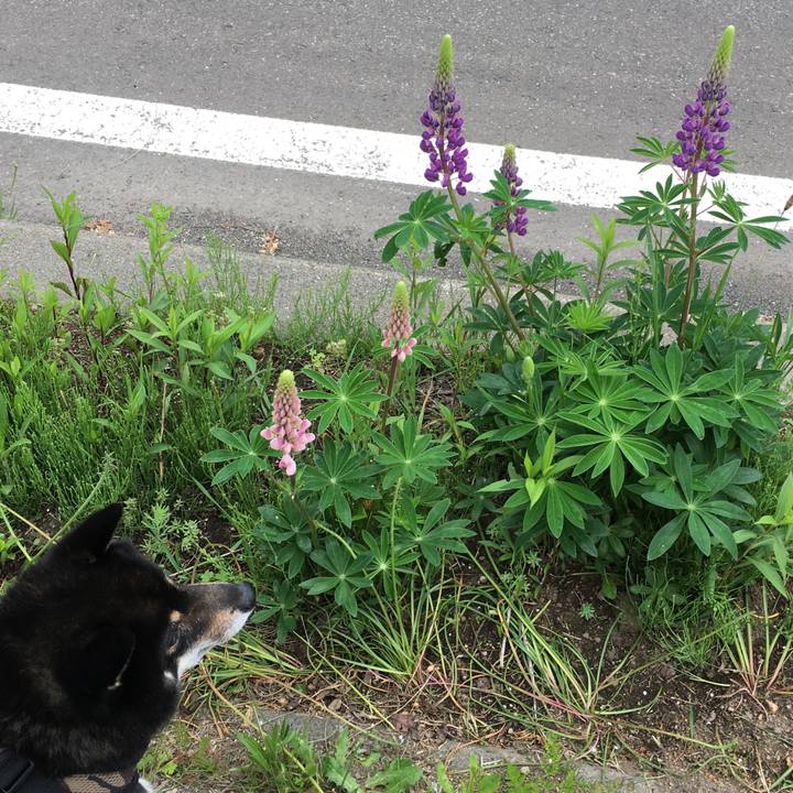 A164aa5a 9341 4508 b80a 97c646879cc2