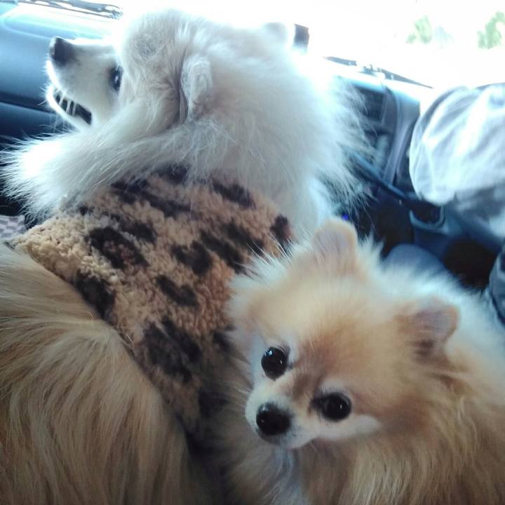 A164abf2 9e22 43fa 956a 6d6b8ab1f038