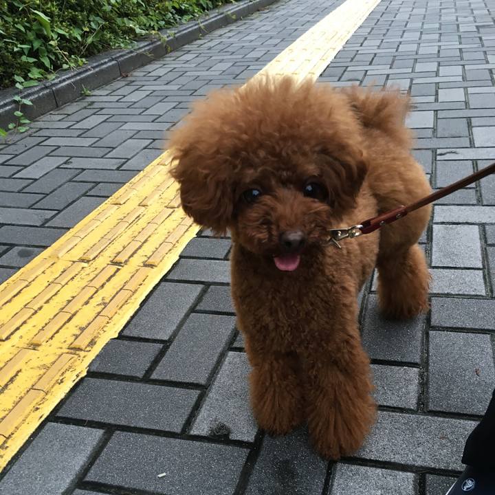 A1650629 37a7 4f91 b9db a4625f5700e6