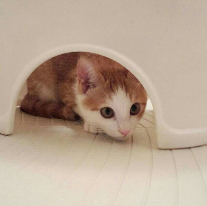 A1652c7e 9c88 421d 9611 18a06b6d4c35