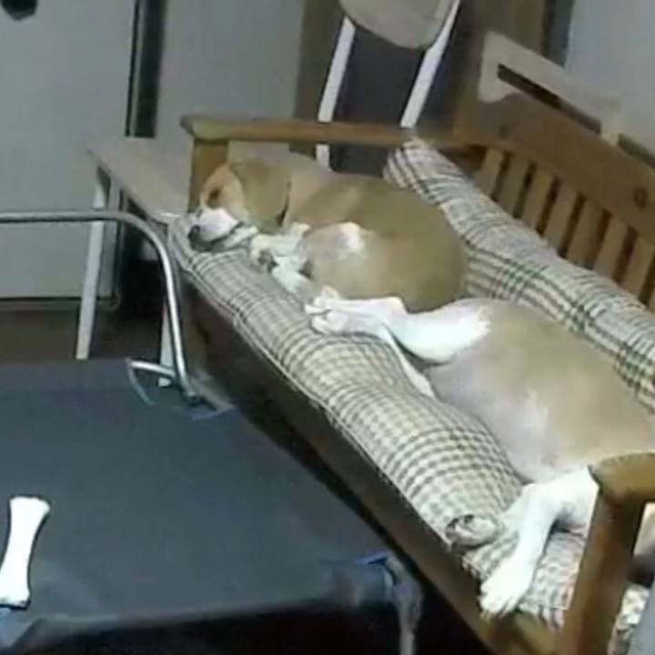 A166cb2c 6a22 419a 8713 5e0f5815bac5