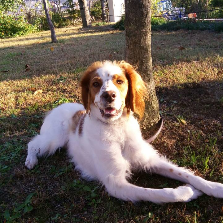 A1678630 4d6d 4408 8f58 d63f3618491b