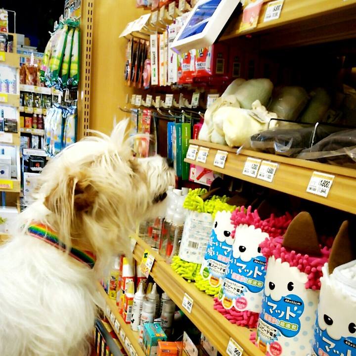 A167f4ed d9a8 420a 9d34 5b981641278e