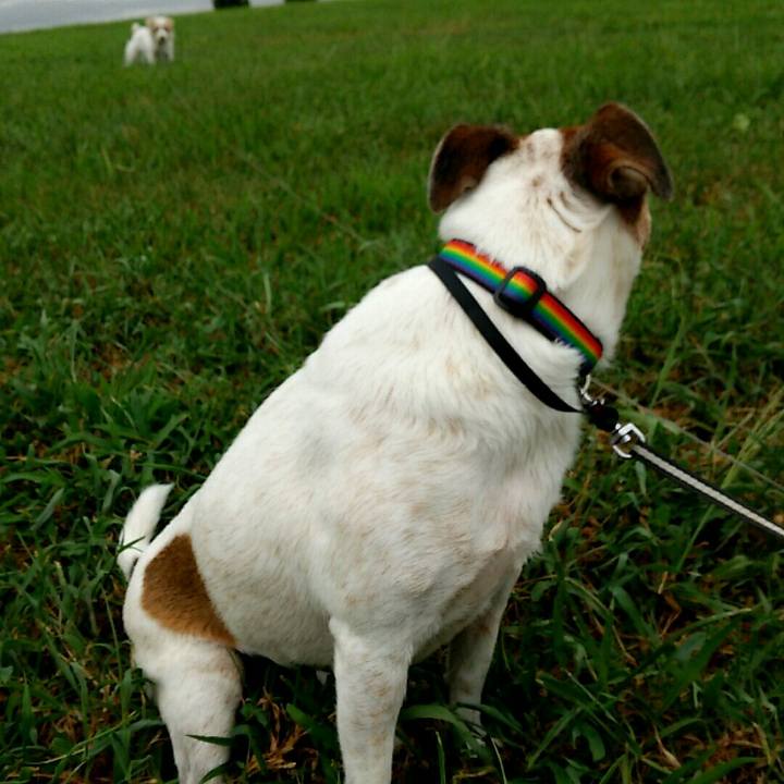 A16a2800 e38b 4fe1 9c5f 81e11ab85296