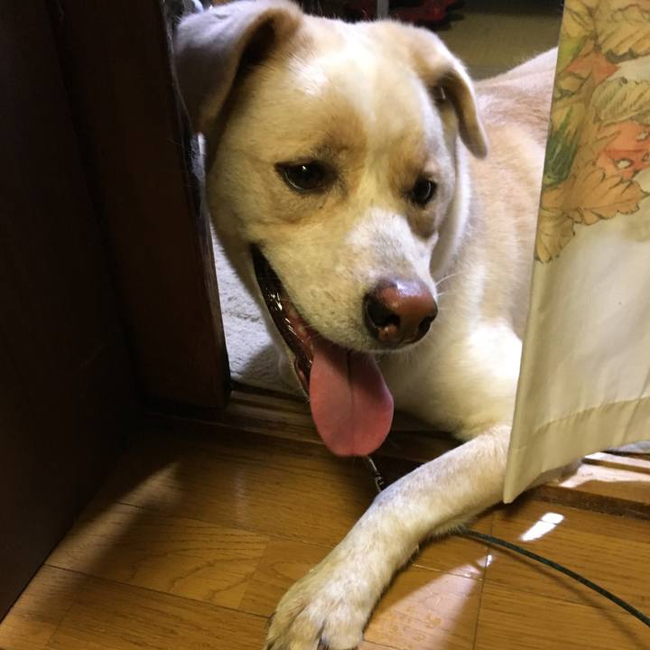 A16a7881 1b69 430f 8d3c fcbe8cd84d56