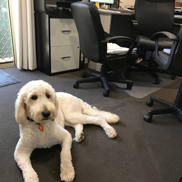 A16aaf98 3cf6 4df7 84eb ebf408d1945e