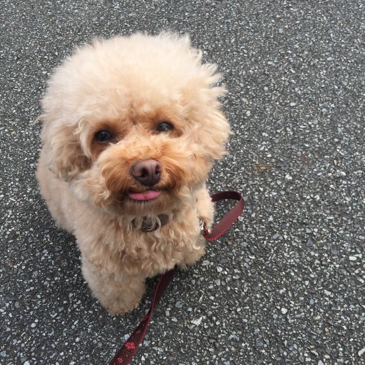 A16b052e d35a 4c19 a7c4 3880d616ee10