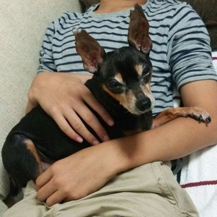 A16b3d6f 8cdd 45ed acee d5f6296746e8