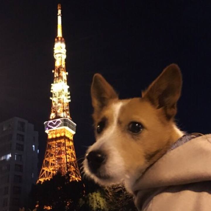 A16b5d15 22da 4a6e 932b 884bf83328f3