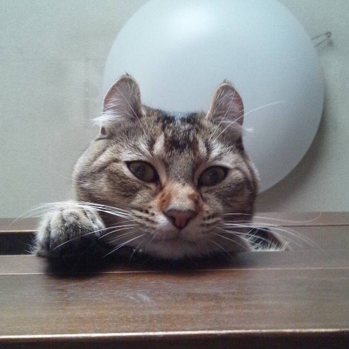 A16b65d6 fa5c 4a89 9c20 199b157ad240