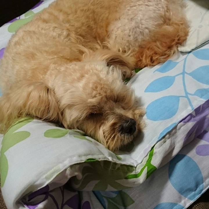 A16b9298 6f8b 4588 bc1d 89e5ee3ce768