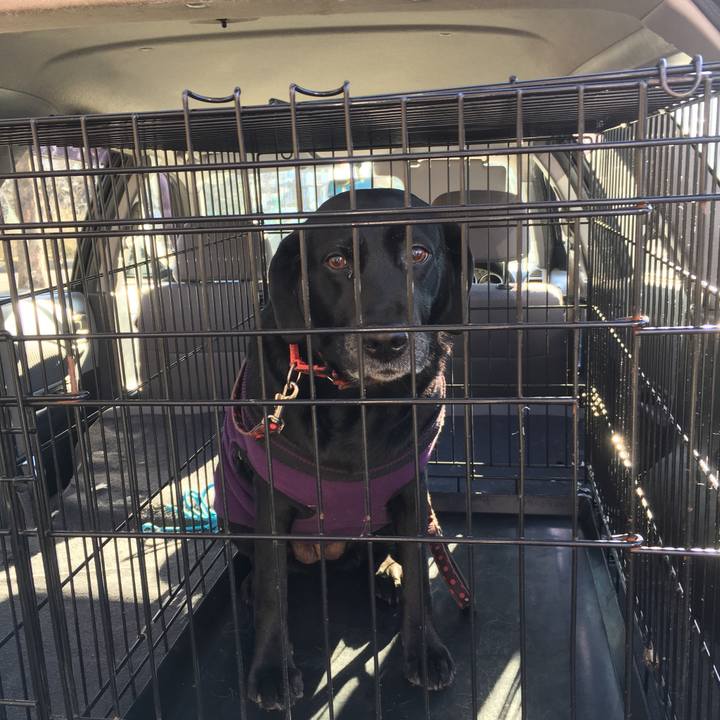 A16bd89a 7101 4a8c a423 d0b3a89e0380